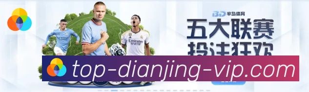 奖项4