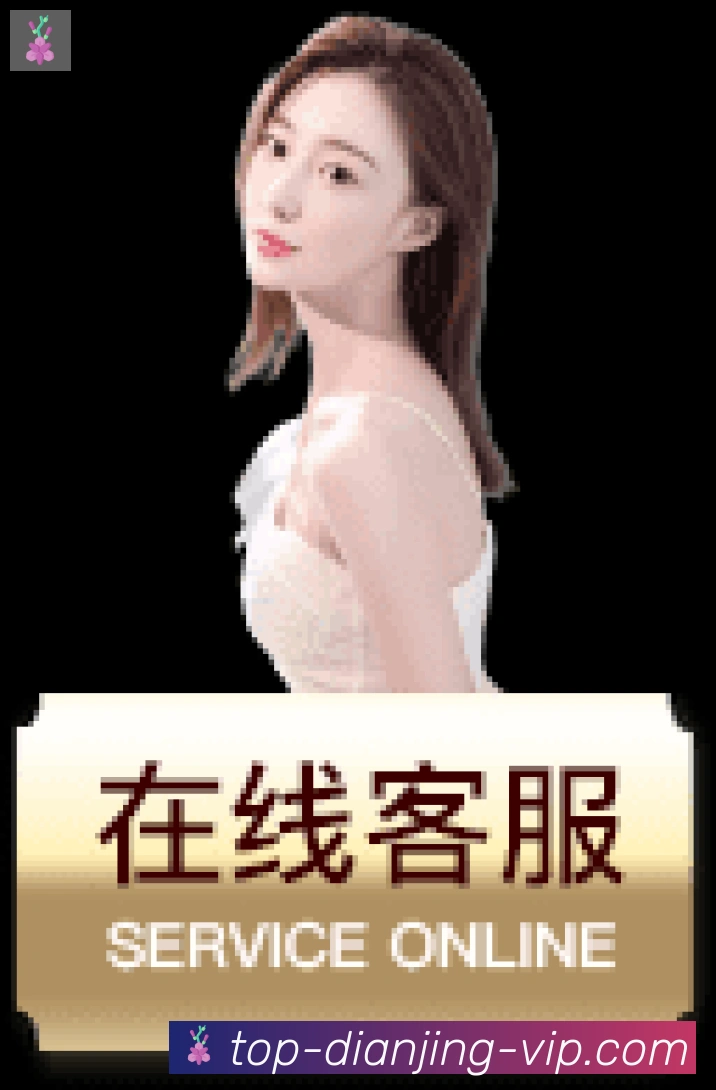 登录器
